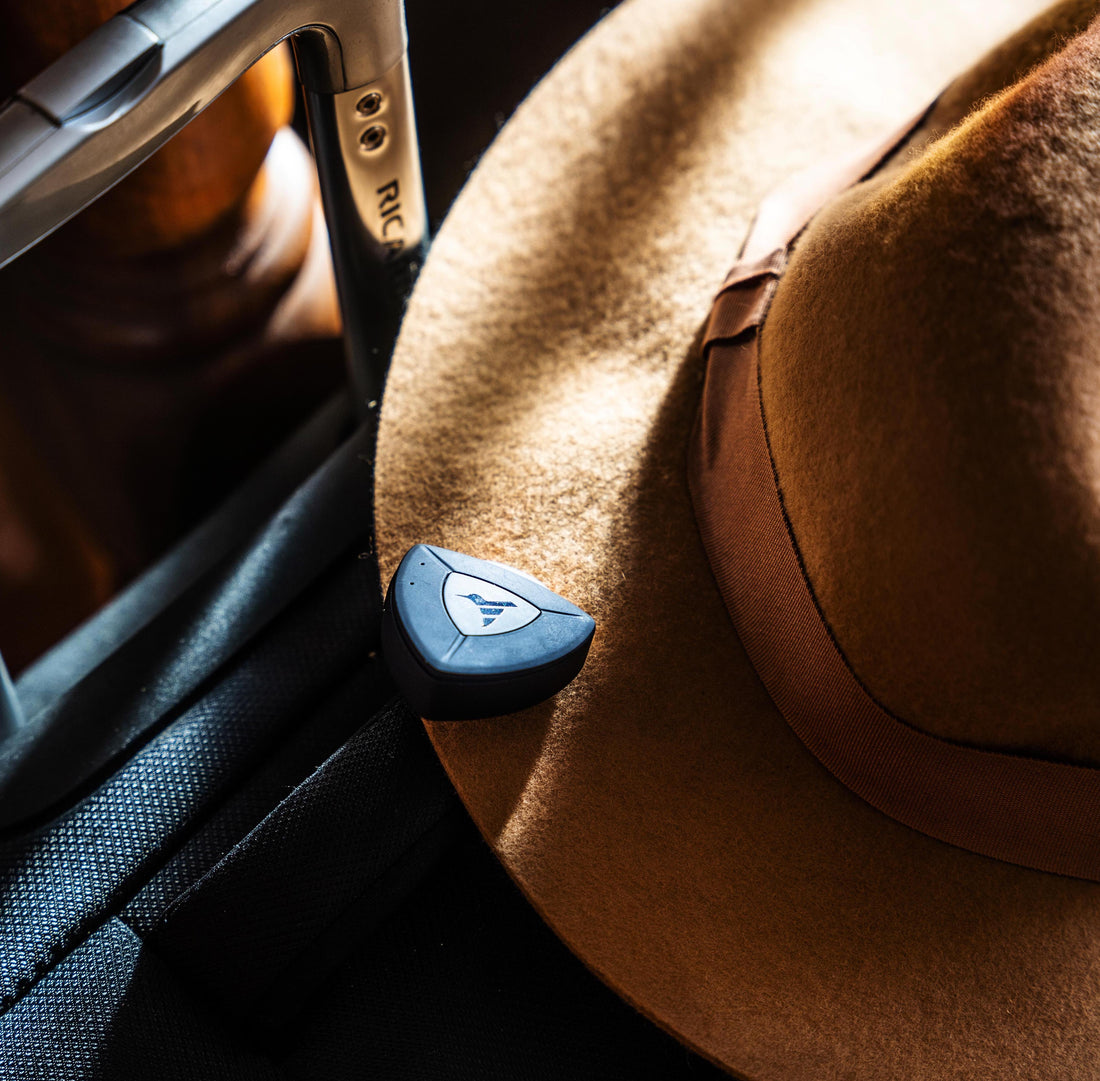 Marina's US Adventure with AirBolt GPS Tracker (& pro travel tips)