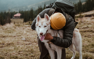 AirBolt GPS Pet Tracker perfect for hiking 