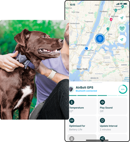 AirBolt® GPS Gen 2