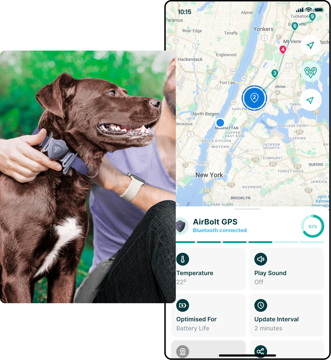 AirBolt® GPS For Pets