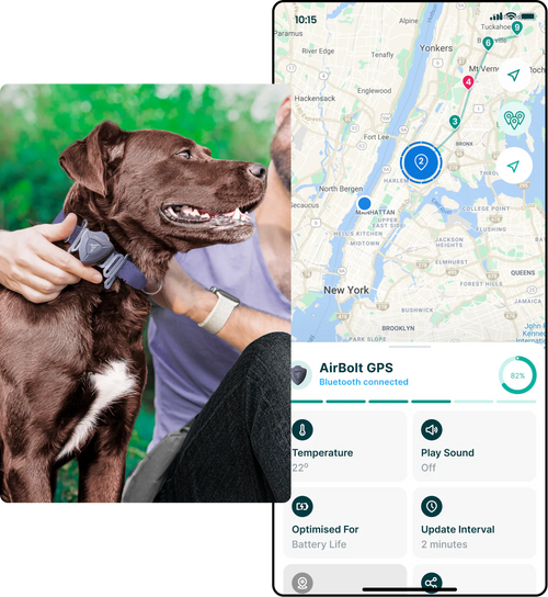 AirBolt® GPS For Pets